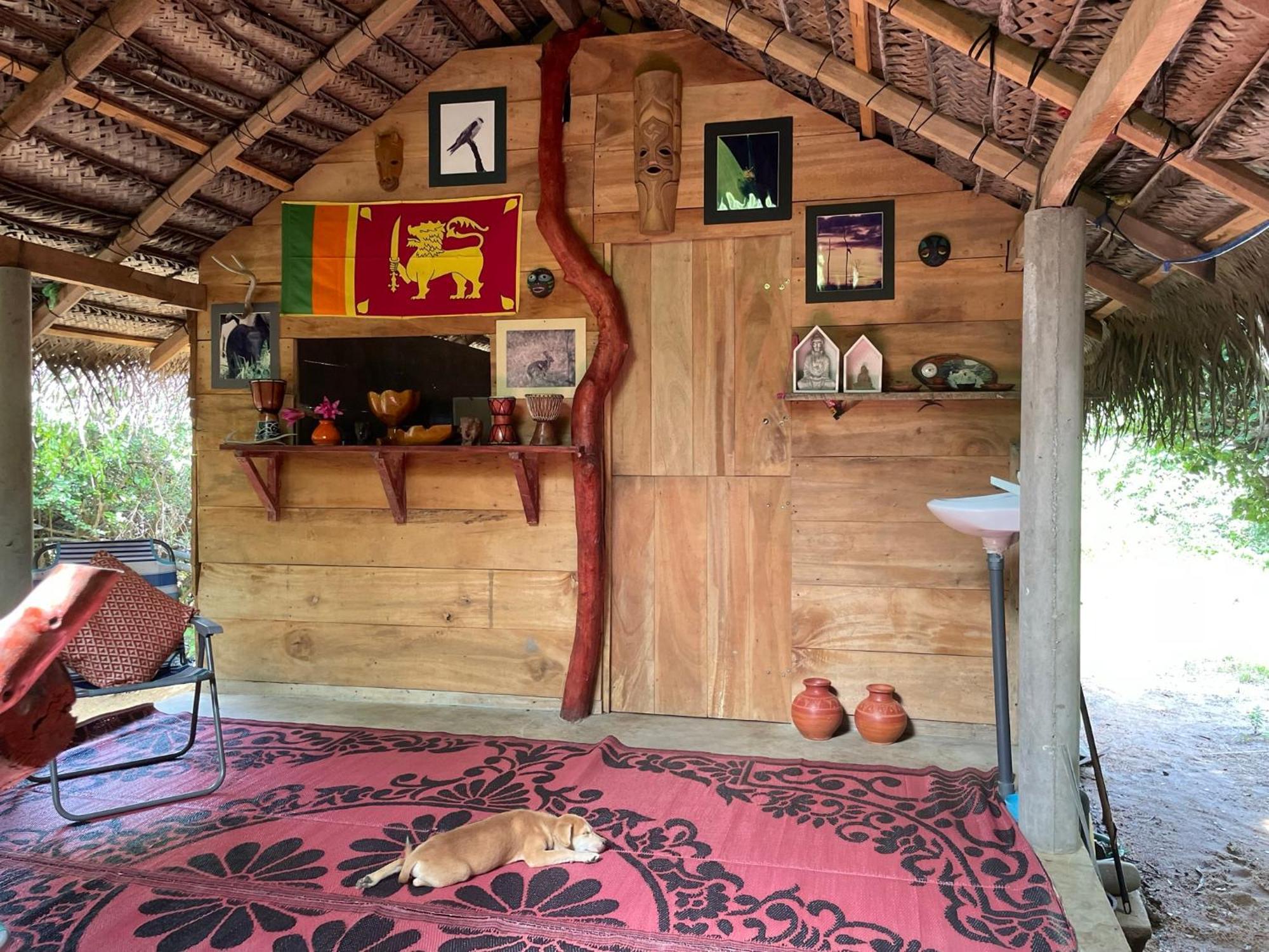 מלון Yala Podi Hoona Bush Camp מראה חיצוני תמונה