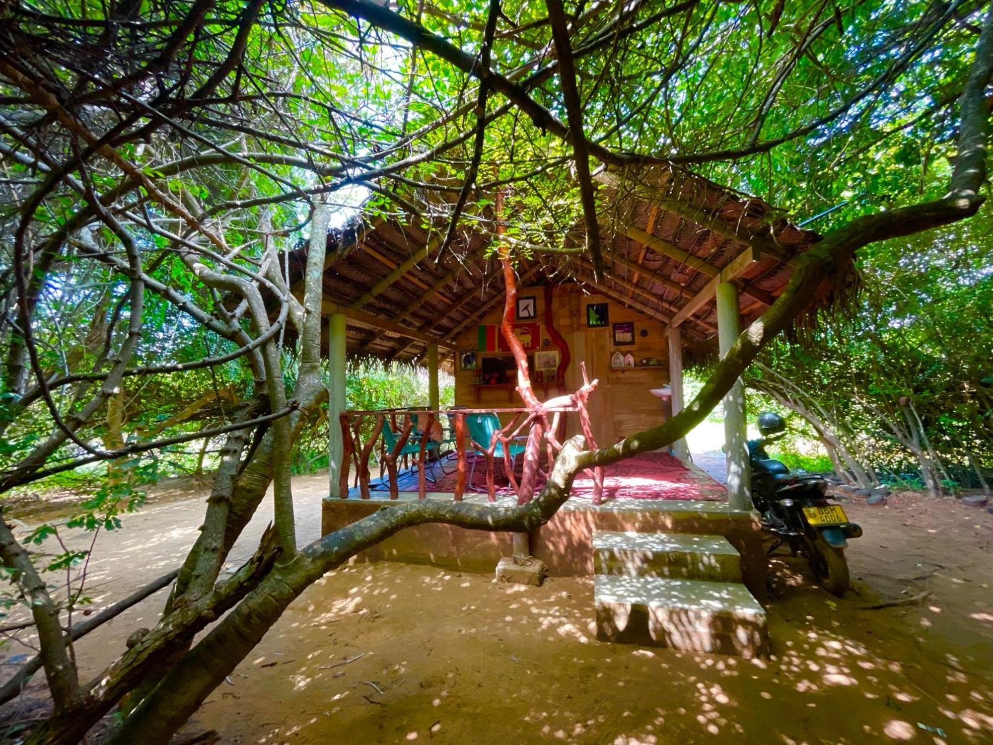 מלון Yala Podi Hoona Bush Camp מראה חיצוני תמונה